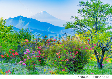 【山梨県】ヤマツツジ咲く、清里美し森 富士山遠望 【山梨県】ヤマツツジ咲く、清里美し森 富士山遠望 140348578