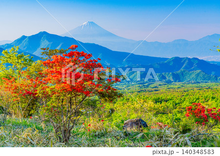 【山梨県】ヤマツツジ咲く、清里美し森 富士山遠望 【山梨県】ヤマツツジ咲く、清里美し森 富士山遠望 140348583