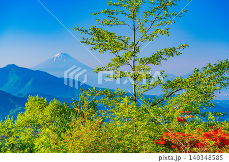 【山梨県】ヤマツツジ咲く、清里美し森　富士山遠望 140348585
