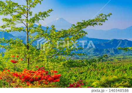 【山梨県】ヤマツツジ咲く、清里美し森 富士山遠望 【山梨県】ヤマツツジ咲く、清里美し森 富士山遠望 140348586