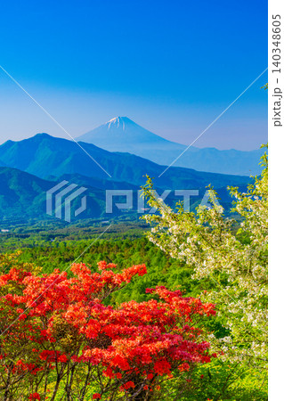 【山梨県】ヤマツツジ咲く、清里美し森 富士山遠望 【山梨県】ヤマツツジ咲く、清里美し森 富士山遠望 140348605