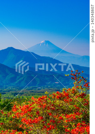 【山梨県】ヤマツツジ咲く、清里美し森　富士山遠望 140348607