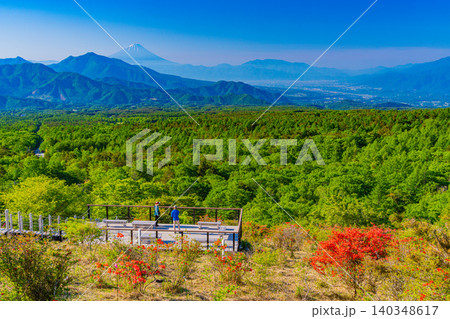 【山梨県】ヤマツツジ咲く、清里美し森 富士山遠望 【山梨県】ヤマツツジ咲く、清里美し森 富士山遠望 140348617
