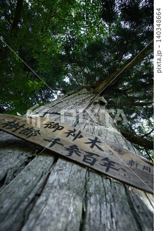 山形県_朝日町_大沼の浮島_大沼浮嶋稲荷神社 山形県_朝日町_大沼の浮島_大沼浮嶋稲荷神社 140348664