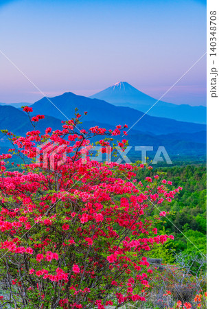 【山梨県】ヤマツツジ咲く清里の美し森　富士山遠望　夜明け 140348708