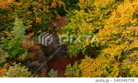 Aerial view of a forest canopy in vibrant autumn colors during September Aerial view of a forest canopy in vibrant autumn colors during September 140348739