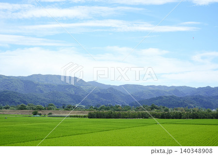 山形県_白鷹町_田園風景 140348908