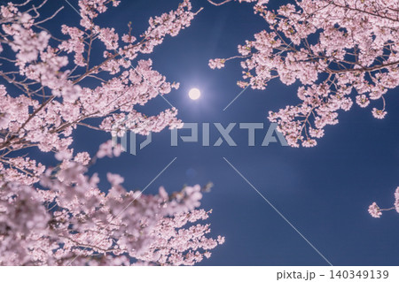 水面に映る桜 水面に映る桜 140349139