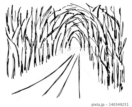 Hand-drawn simple vector sketch with black outline. Landscape, nature, road, path through a dense, overgrown forest, alley of dark trees, tunnel, light at the end. Hand-drawn simple vector sketch with black outline. Landscape, nature, road, path through a dense, overgrown forest, alley of dark trees, tunnel, light at the end. 140349251