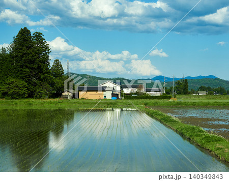春の長野県の安曇野市の美しい水田と農家の風景 春の長野県の安曇野市の美しい水田と農家の風景 140349843