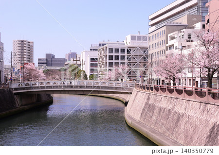 春の都川 千葉市中央区 春の都川 千葉市中央区 140350779