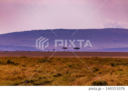 Kenya Photographers By Antony Trivet Photography Kenya Photographers By Antony Trivet Photography 140351076