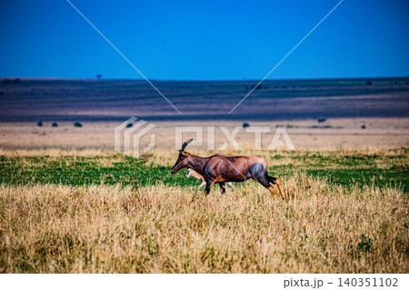Kenya Photographers By Antony Trivet Photography 140351102