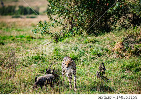 Kenya Photographers By Antony Trivet Photography 140351159