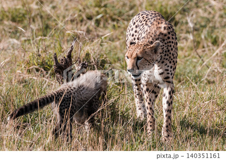 Kenya Photographers By Antony Trivet Photography Kenya Photographers By Antony Trivet Photography 140351161