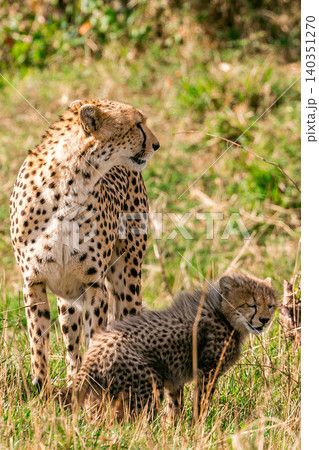 Kenya Photographers By Antony Trivet Photography Kenya Photographers By Antony Trivet Photography 140351270