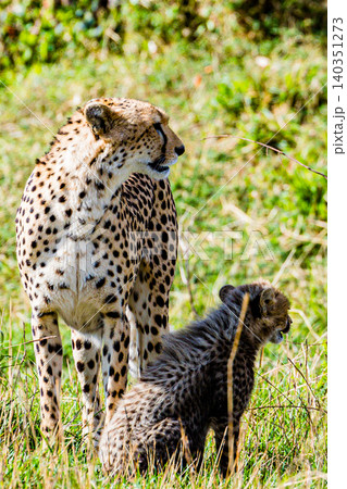 Kenya Photographers By Antony Trivet Photography 140351273