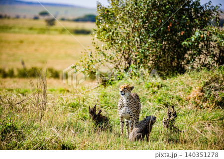 Kenya Photographers By Antony Trivet Photography Kenya Photographers By Antony Trivet Photography 140351278