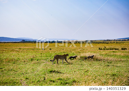 Kenya Photographers By Antony Trivet Photography Kenya Photographers By Antony Trivet Photography 140351329