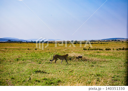 Kenya Photographers By Antony Trivet Photography Kenya Photographers By Antony Trivet Photography 140351330