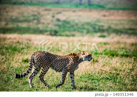 Kenya Photographers By Antony Trivet Photography Kenya Photographers By Antony Trivet Photography 140351346