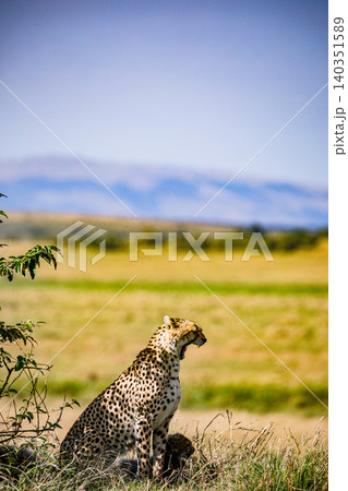 Kenya Photographers By Antony Trivet Photography Kenya Photographers By Antony Trivet Photography 140351589
