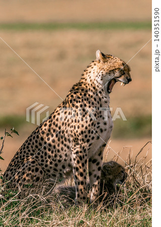 Kenya Photographers By Antony Trivet Photography Kenya Photographers By Antony Trivet Photography 140351590