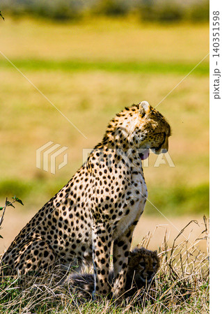 Kenya Photographers By Antony Trivet Photography 140351598