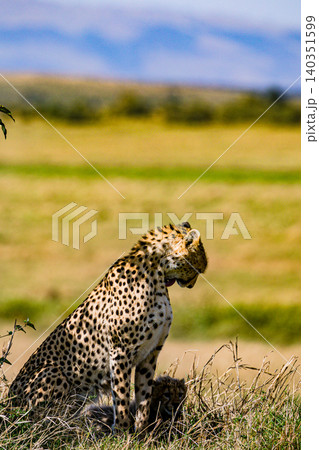 Kenya Photographers By Antony Trivet Photography Kenya Photographers By Antony Trivet Photography 140351599