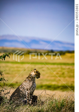 Kenya Photographers By Antony Trivet Photography 140351601