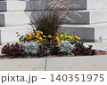 Colorful Flowers outdoor by a sidewalk Colorful Flowers outdoor by a sidewalk 140351975