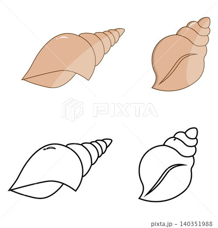 Sea shell outline and flat color illustrations 140351988
