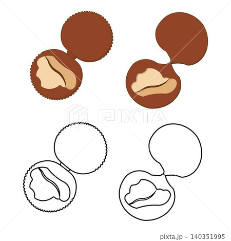 Opened clam oyster shell vector set 140351995