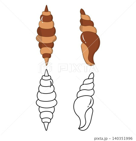 Sea shell outline and flat color illustrations 140351996