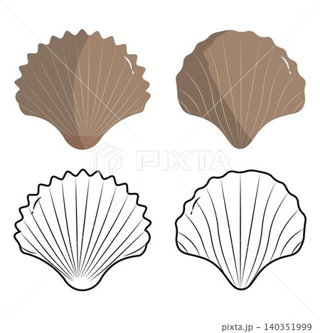 Ocean bivalve shell flat and outline illustrations 140351999