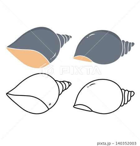 Sea shell outline and flat color illustrations 140352003