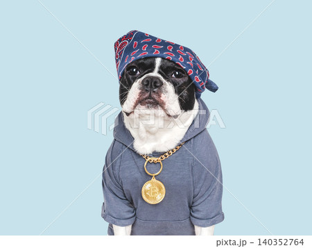 Cute French Bulldog and a gold Bitcoin medallion 140352764