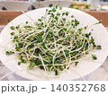 Close-up of fresh microgreens 140352768