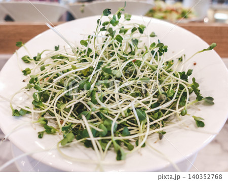 Close-up of fresh microgreens Close-up of fresh microgreens 140352768