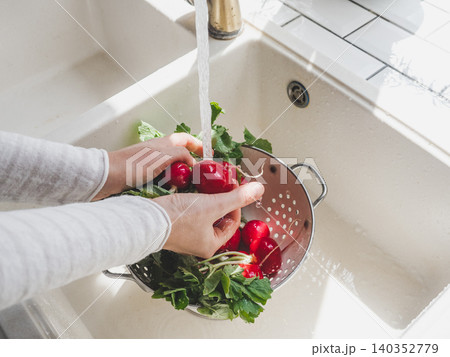 Hands washing fresh radishes 140352779