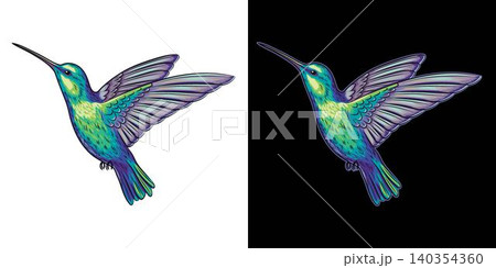 Flying hummingbird in vintage style. Detailed design element on transparent, black background. Isolated colorful illustration 140354360