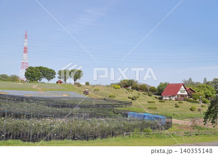 ネモフィラ 開放感あふれるお花畑の風景(愛知牧場 愛知県 日進市) ネモフィラ 開放感あふれるお花畑の風景(愛知牧場 愛知県 日進市) 140355148