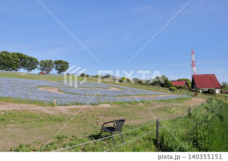 ネモフィラ 開放感あふれるお花畑の風景(愛知牧場 愛知県 日進市) ネモフィラ 開放感あふれるお花畑の風景(愛知牧場 愛知県 日進市) 140355151
