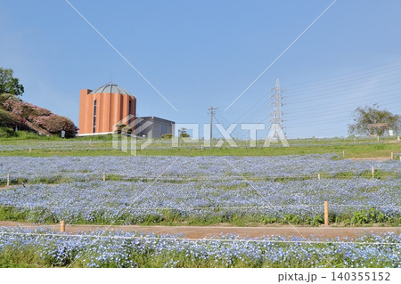 ネモフィラ　開放感あふれるお花畑の風景（愛知牧場　愛知県 日進市） 140355152