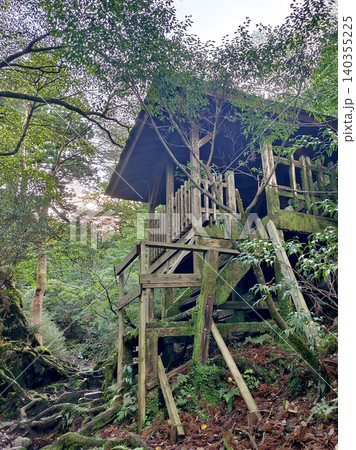 Weathered wooden structure nestled in a lush, moss-covered forest setting Weathered wooden structure nestled in a lush, moss-covered forest setting 140355225