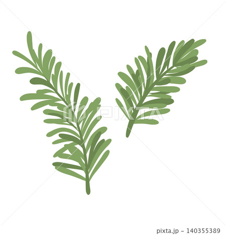 Green rosemary branches vector illustration of aromatic culinary herbs, isolated on a white background. Green rosemary branches vector illustration of aromatic culinary herbs, isolated on a white background. 140355389