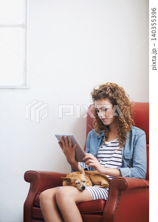 Woman, tablet and relax on social media at home, online and internet for website or blogging. Female person, dog and streaming entertainment on armchair, pet animal and app for shopping on weekend 140355396