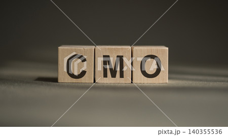 CMO Chief Marketing Officer written on wooden cubes CMO Chief Marketing Officer written on wooden cubes 140355536