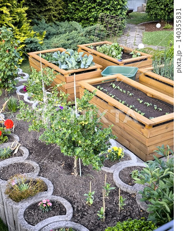 Raised wooden garden beds in a well-tended vegetable garden. Raised wooden garden beds in a well-tended vegetable garden. 140355831