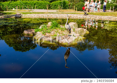 Scenic landscape view of Kyoto Garden in Holland Park, West London, during a sunny spring day. Scenic landscape view of Kyoto Garden in Holland Park, West London, during a sunny spring day. 140356084